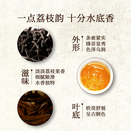 正山堂 水底香品鉴装 红茶小包装红茶正山小种红茶特级茶叶试泡试饮装6g 商品图1