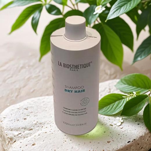 贝伊丝水润洗发露 1L/瓶 商品图0