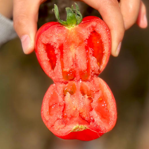 喀什红新疆水果番茄 西红柿 商品图4