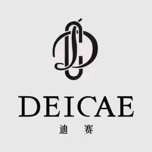 迪赛服饰(新百购) 商品图0