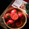 喀什红新疆水果番茄 西红柿 商品缩略图0