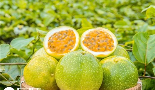 黄金百香果 5斤彩箱装-包邮到家【水果】LP 商品图1