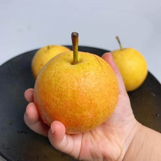【果蔬精选】正宗鞍山南果梨 绿色认证 果肉细腻 口感清甜多汁 咬上一口 汁水在口中四溢 甜蜜的滋味瞬间弥漫开来 带给你无尽的满足 商品图3