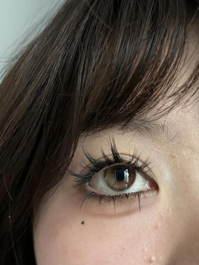 半年抛 CN 暮色黄昏 14.2【375缺货】