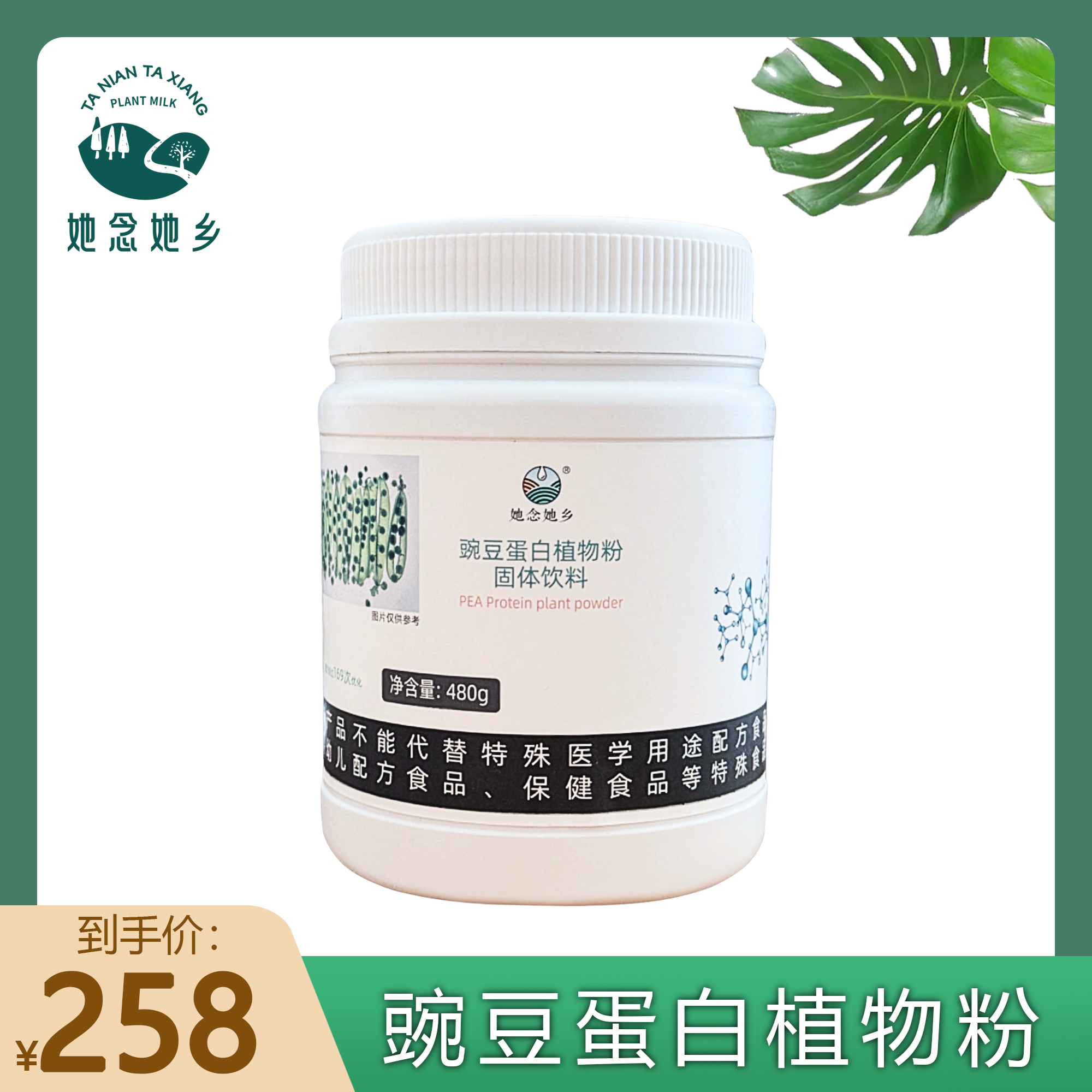 豌豆蛋白植物粉 480g罐装 0动物成分 科学配比营养蛋白好吸收  她念她乡