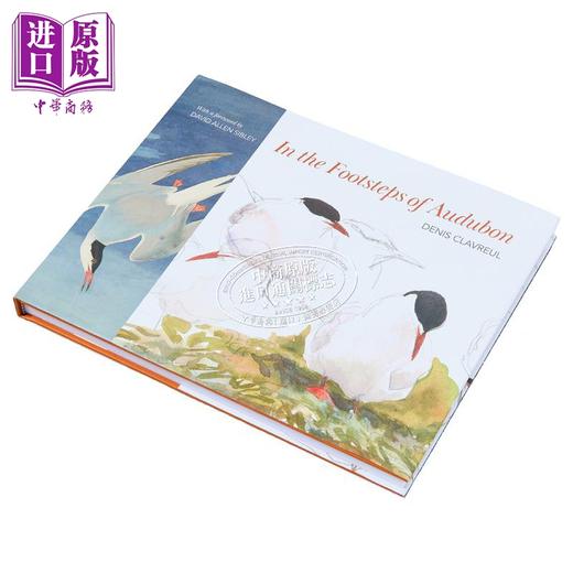 【中商原版】追随奥杜邦的足迹 In the Footsteps of Audubon 英文原版 Denis Clavreul 环境科学 科普百科 商品图1