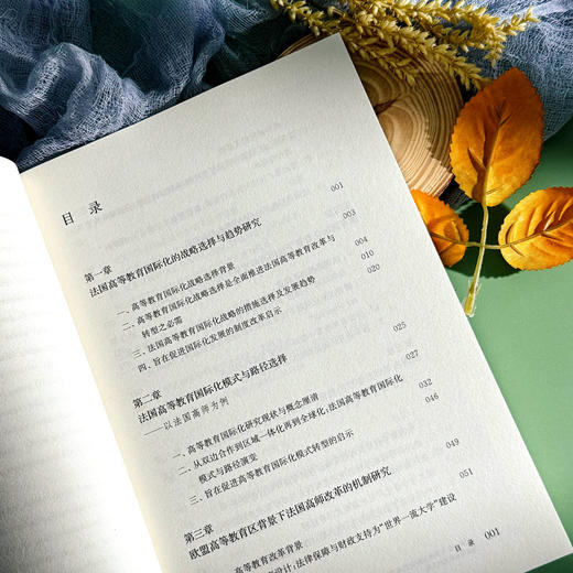 法国一流大学的国际化战略逻辑与实施路径 以法国高师集团为例 商品图2