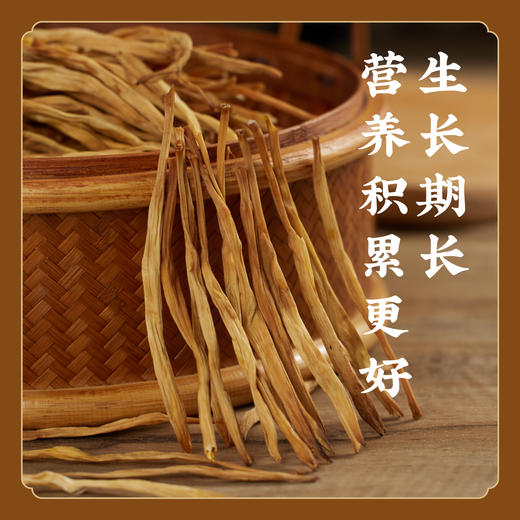 【忘忧花】火山沃土黄花菜 金针菜 无硫无添加 黄花萱草花蕾精选 K仅参与会员折扣 商品图1