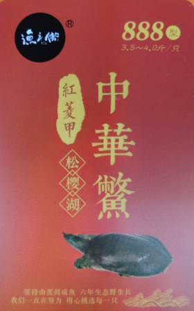 渔之傲中华鳖提货卡888元（3.5~4.0斤/只）
