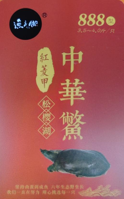 渔之傲中华鳖提货卡888元（3.5~4.0斤/只） 商品图0