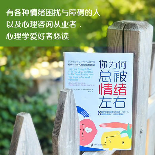 你为何总被情绪左右  给所有成年人的情绪修复指南 商品图4