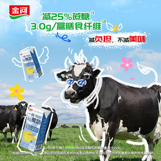 金河常温乳制品KBJ100-2414 仅限厦门市配送 商品图2