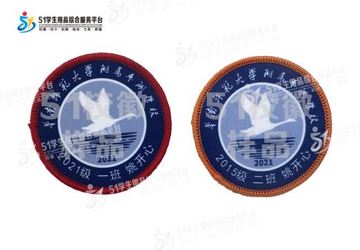 定制深圳市华南师范大学附属平湖学校校徽定做礼服贴章缝制包邮51 商品图0
