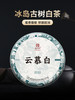 【云慕白】蜜香馥郁 鲜醇甜润 2020年春茶云南冰岛古树白茶茶饼200g 商品缩略图0