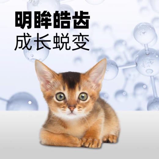 帕特 【果蔬系列】猫粮 2kg/10kg/袋 商品图3