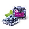 佳沃进口蓝莓16+ 125g/盒 商品缩略图0