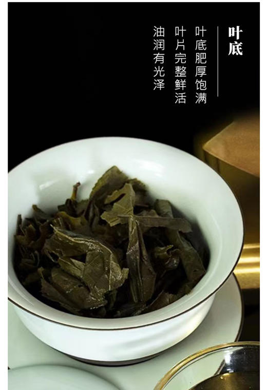 黑茶 | 高马山 2021年高马山 茶王 千两饼（花卷茶）520g 商品图6