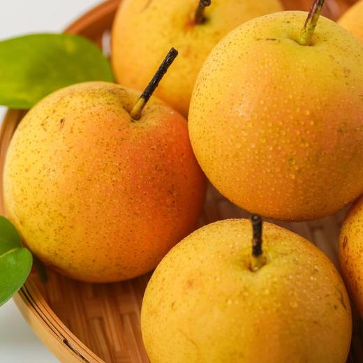 【果蔬精选】正宗鞍山南果梨 绿色认证 果肉细腻 口感清甜多汁 咬上一口 汁水在口中四溢 甜蜜的滋味瞬间弥漫开来 带给你无尽的满足 商品图4