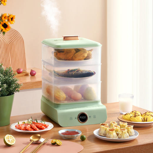 西屋Westinghouse-电蒸锅WZG240B 商品图0