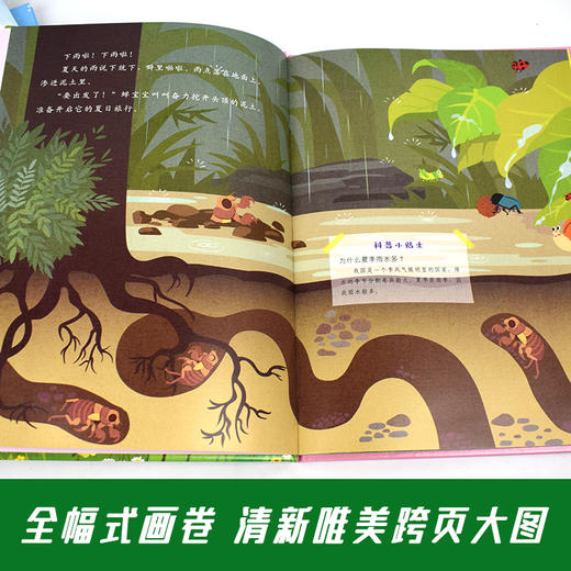 四季科普认知大画书精装绘本（全4册） 商品图3