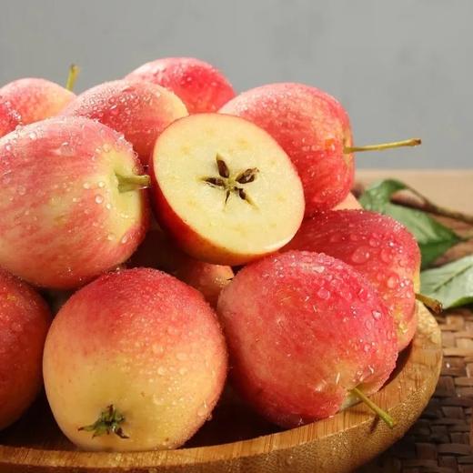 新疆海棠香槟果约2斤/提 |水果 商品图0