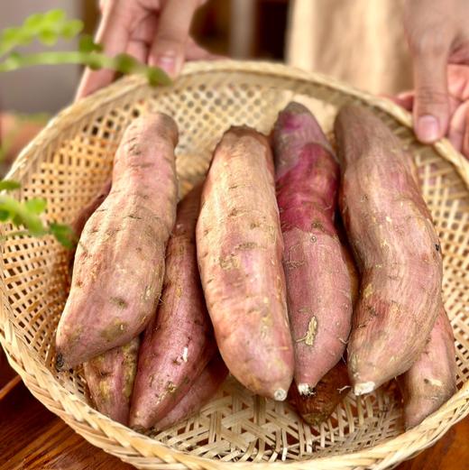 【达小鲜-哈密冰糖薯🍠】自带兰花香，软糯甜蜜，源自1300M+的高山蜜薯地瓜  顺丰发货 商品图3