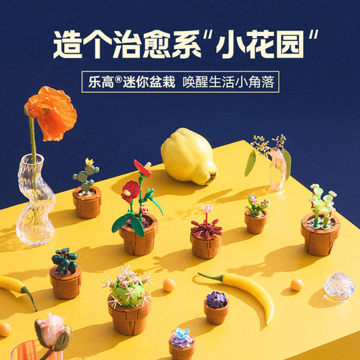 乐高LEGO 迷你盆栽LEGC10329 商品图2