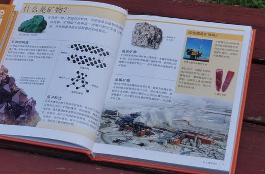 《DK儿童迷你百科全书》,精装，12册，口袋本40开，英国DK公司编著，中国大百科全书出版社2017年一版，印次不详，定价458，售价128元。 商品图4