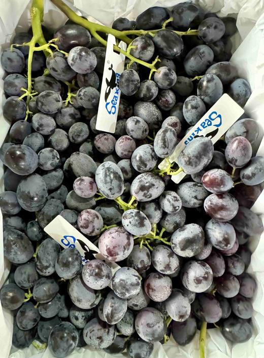 澳洲黑玛瑙提子，店铺这么多进口提子品类，松脆甜它当属第一！ 商品图6