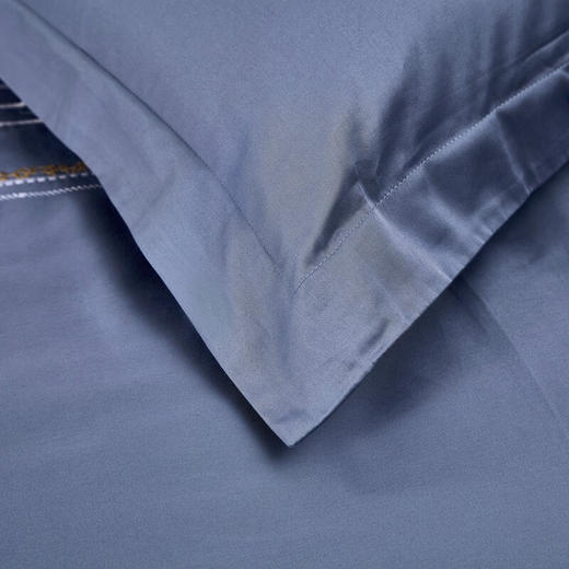 【高档】富安娜床品素绣60支长绒棉高档四件套 柏林之约  XHR 商品图1