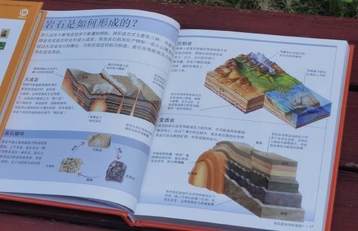 《DK儿童迷你百科全书》,精装，12册，口袋本40开，英国DK公司编著，中国大百科全书出版社2017年一版，印次不详，定价458，售价128元。 商品图5