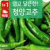 [1+1]령이네반찬 동북청양고추100g 商品缩略图0