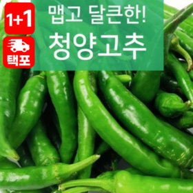 [1+1]령이네반찬 동북청양고추100g