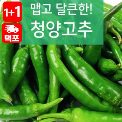 [1+1]령이네반찬 동북청양고추100g 商品图0
