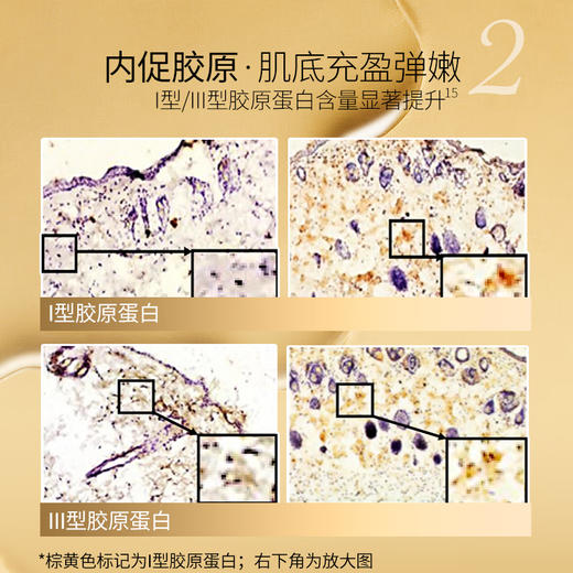 【官方正品】云南白药采之汲苦水酵润精华水保湿舒缓紧致修护三七水100ml 商品图4