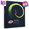 【中商原版】蚂蚁 视觉指南 Ants A Visual Guide 英文原版 Heather Campbell 科普与科学通识 自然百科 商品缩略图0