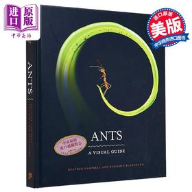 【中商原版】蚂蚁 视觉指南 Ants A Visual Guide 英文原版 Heather Campbell 科普与科学通识 自然百科