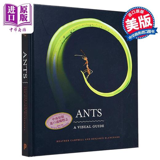 【中商原版】蚂蚁 视觉指南 Ants A Visual Guide 英文原版 Heather Campbell 科普与科学通识 自然百科 商品图0