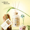 大英博物馆 东方梦境系列 无火香薰大容量香氛礼盒 木息境壤 商品缩略图0