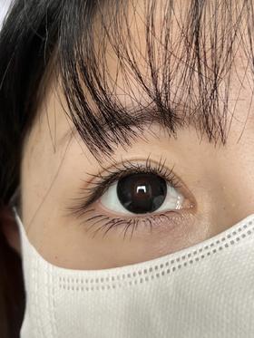 半年抛 CN  黑不秋秋 14.5