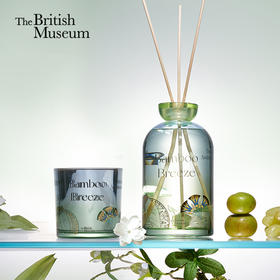 大英博物馆 盖亚·安德森猫系列无火香薰大容量香氛礼盒 大容量蜡烛 夏夜竹风