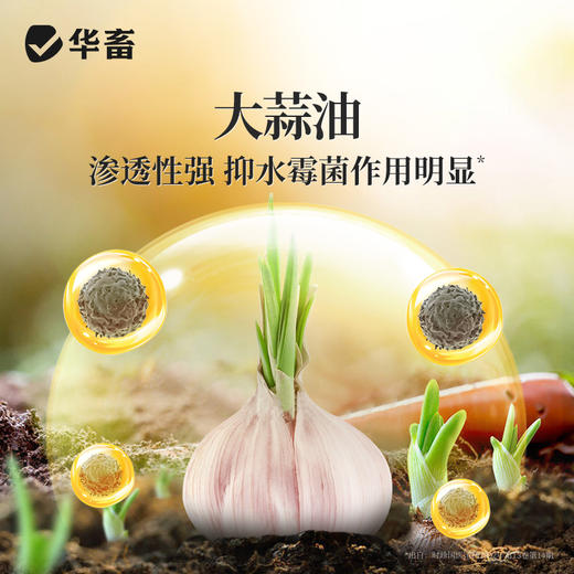 华畜复合硫迷沙星500ml 水霉克星 腐皮烂鳃 烂尾出血 每瓶可用4-5亩 商品图2