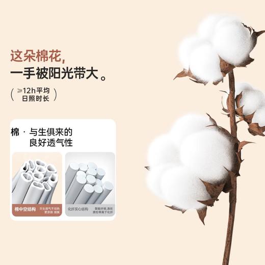 3部顶瓜瓜男士纯色秋衣秋裤圆领内衣套装11221 商品图4