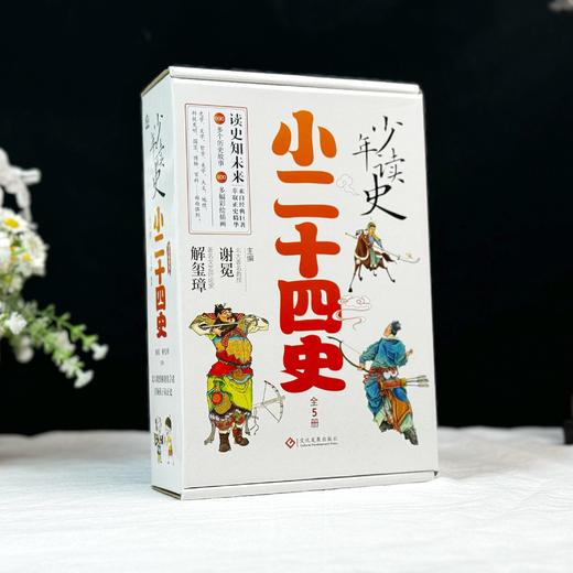 少年读史 小二十四史（全5册） 让北大教授和著名学者引领孩子读正史 中国历史故事书小学生彩绘国学人物传记6-7-8-9-12岁儿童漫画版历史课外阅读书目 商品图2
