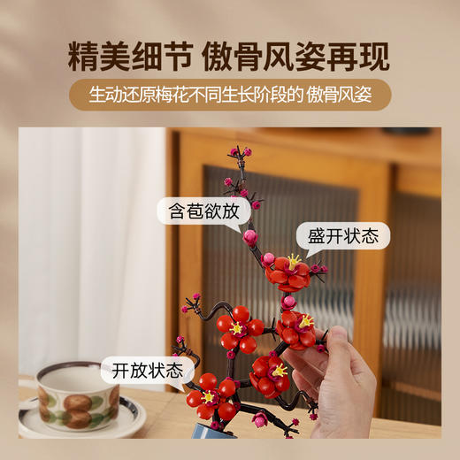 乐高LEGO 傲骨梅LEGC10369 商品图3