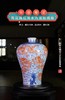 仿清雍正青花矾红海水九龙纹梅瓶 商品缩略图0