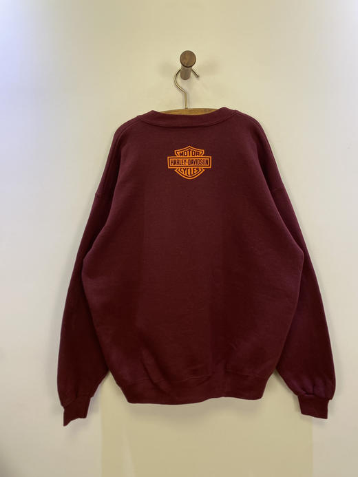 90年代 Vintage Lee 美国制 Harley Davidson（哈雷戴维森） 卫衣 _SLSS(L) 商品图2