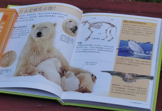 《DK儿童迷你百科全书》,精装，12册，口袋本40开，英国DK公司编著，中国大百科全书出版社2017年一版，印次不详，定价458，售价128元。 商品图7