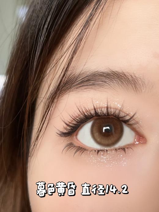 半年抛 CN 暮色黄昏 14.2【375缺货】 商品图2