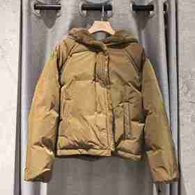 Yves Salomon - DOWN JACKET MAT TECHNICAL FABRIC - NUTS - 女装 - 羽绒服 - 坚果棕
